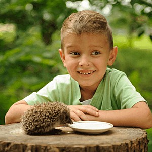 ���� ����� �� �����: ��� ������� �����