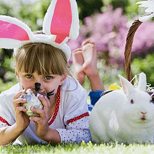 ���� ����� �� ���� ���� ����