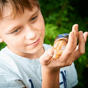 ���� ����� �� ������ ���� ����