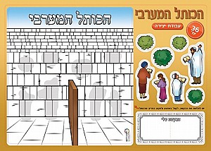 ���� ����� ��� ������� 12