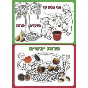 ����� �"� ���� ������