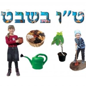 ���� �"� ���� �� �������