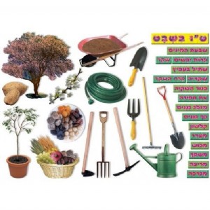 ���� �������� �"� ����