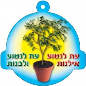 ����� ��"� ����