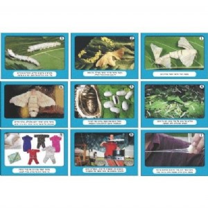 ���� ���� ����� ����