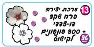 ����� ���� ���