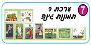 ���� ������ ����